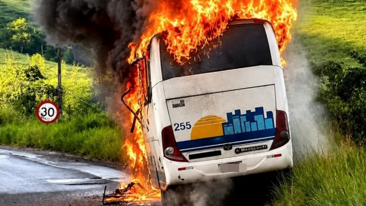 Ônibus