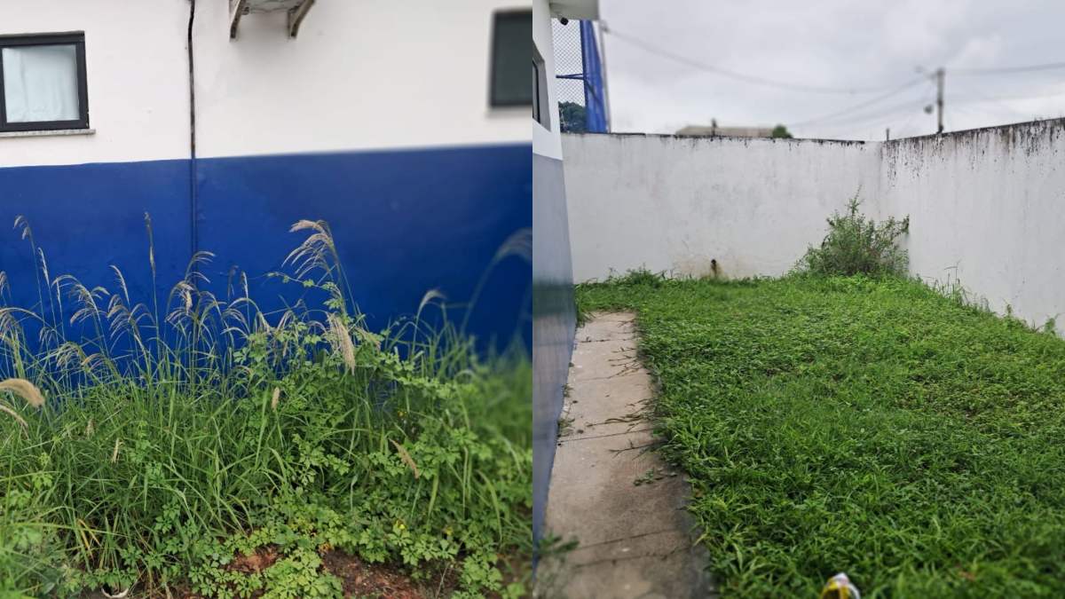 Mato alto na Unidade de Saúde do bairro Asa Branca
