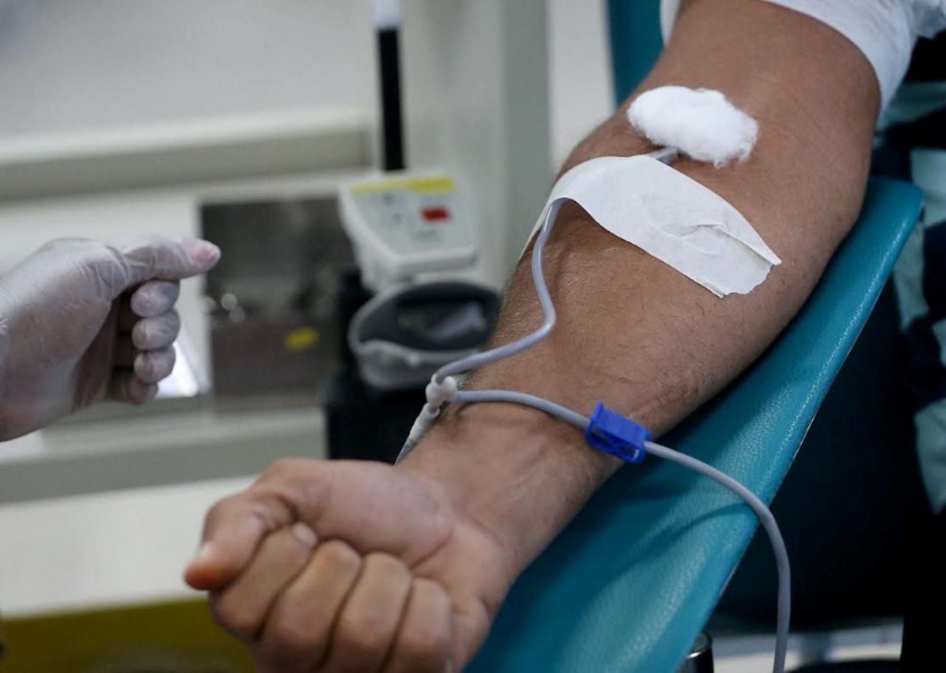 doação de sangue - HGCA