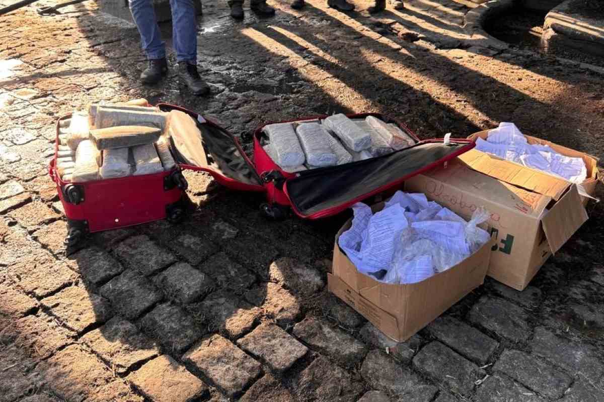 incineração de drogas