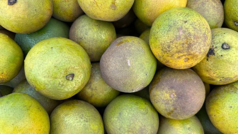 Produtos típicos já podem ser encontrados no Centro de Abastecimento em Feira de Santana