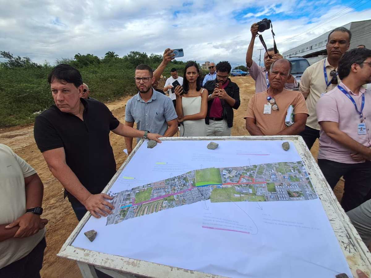 obra de duplicação na artêmia