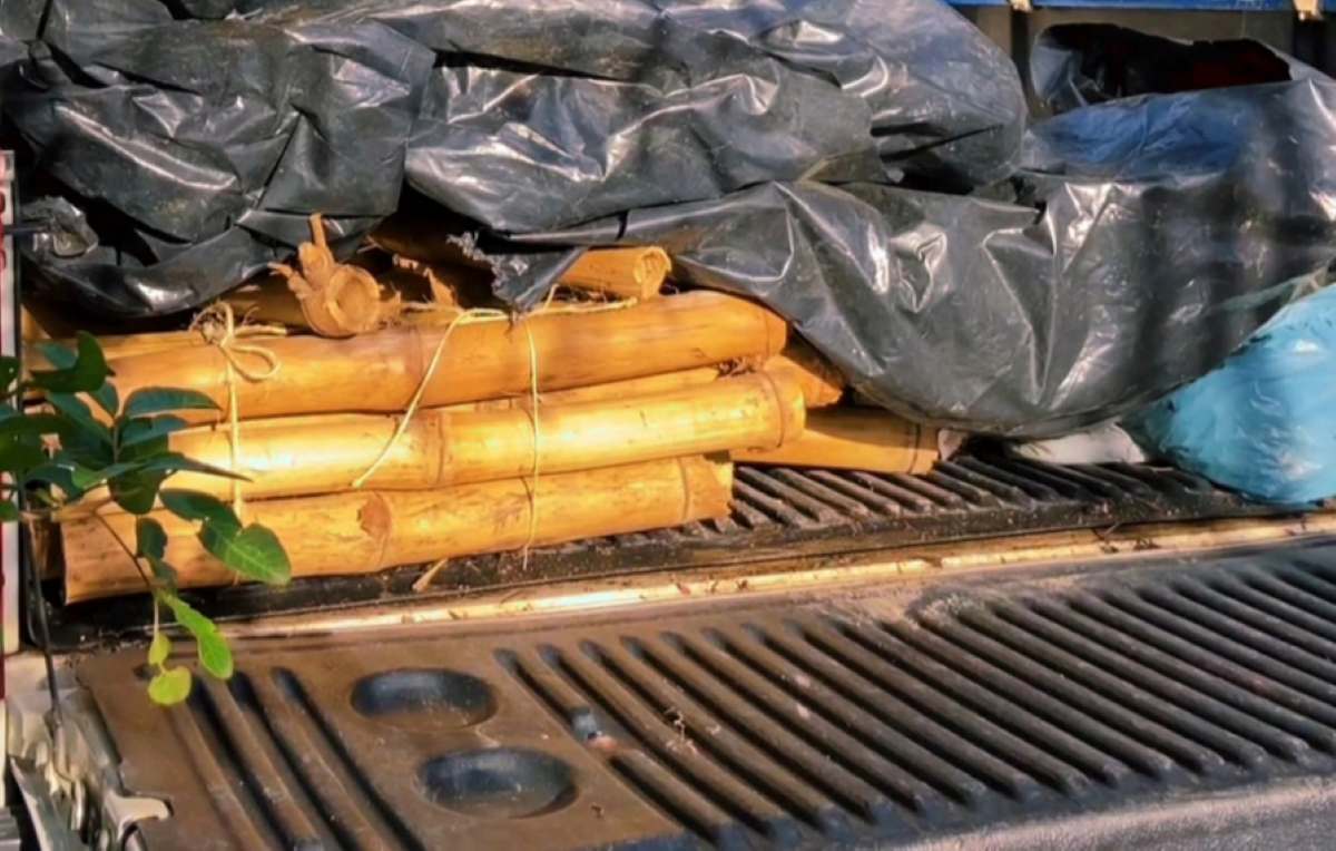 Polícia apreende pólvora e artefatos usados na produção de “espadas” em Cruz das Almas