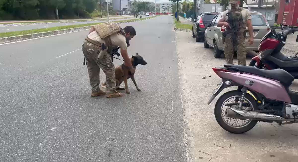Canil da Polícia Civil atua em Camaçari durante festejos juninos do Camaforró