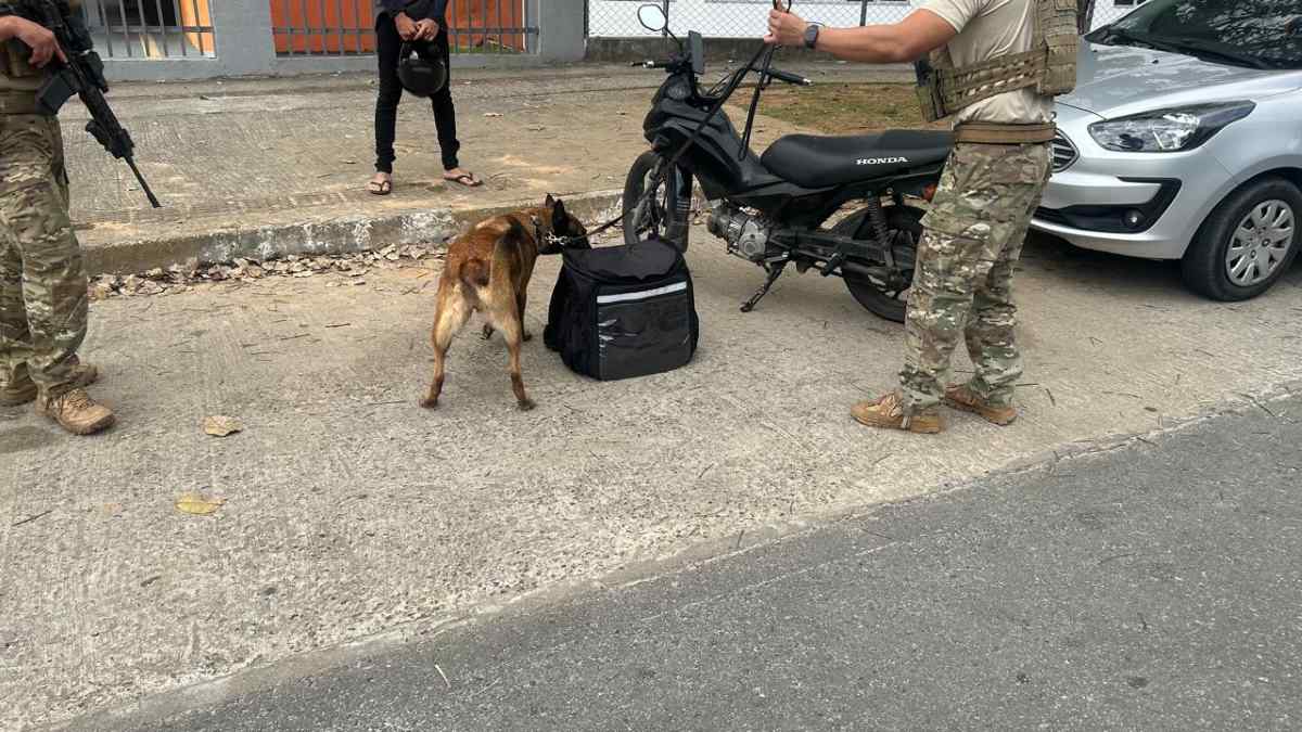 Canil da Polícia Civil atua em Camaçari durante festejos juninos do Camaforró