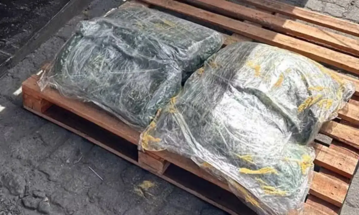 Receita Federal intercepta cocaína escondida no Porto de Salvador