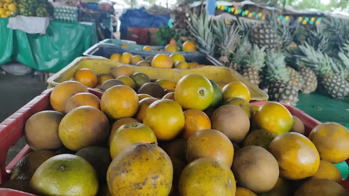 Vendas de produtos juninos na Estação Nova ficam abaixo da expectativa, afirma feirante