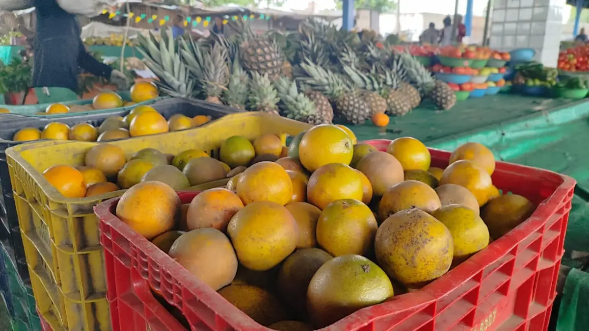 Vendas de produtos juninos na Estação Nova ficam abaixo da expectativa, afirma feirante