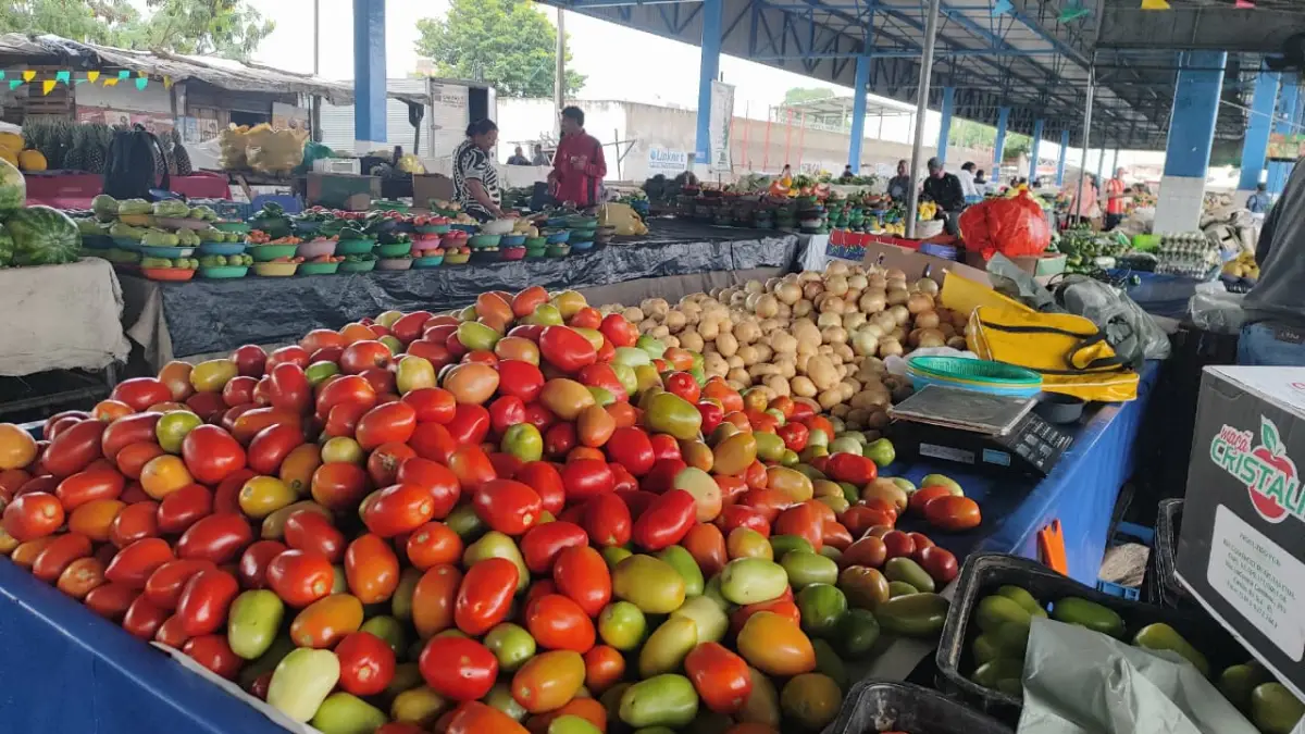 Vendas de produtos juninos na Estação Nova ficam abaixo da expectativa, afirma feirante