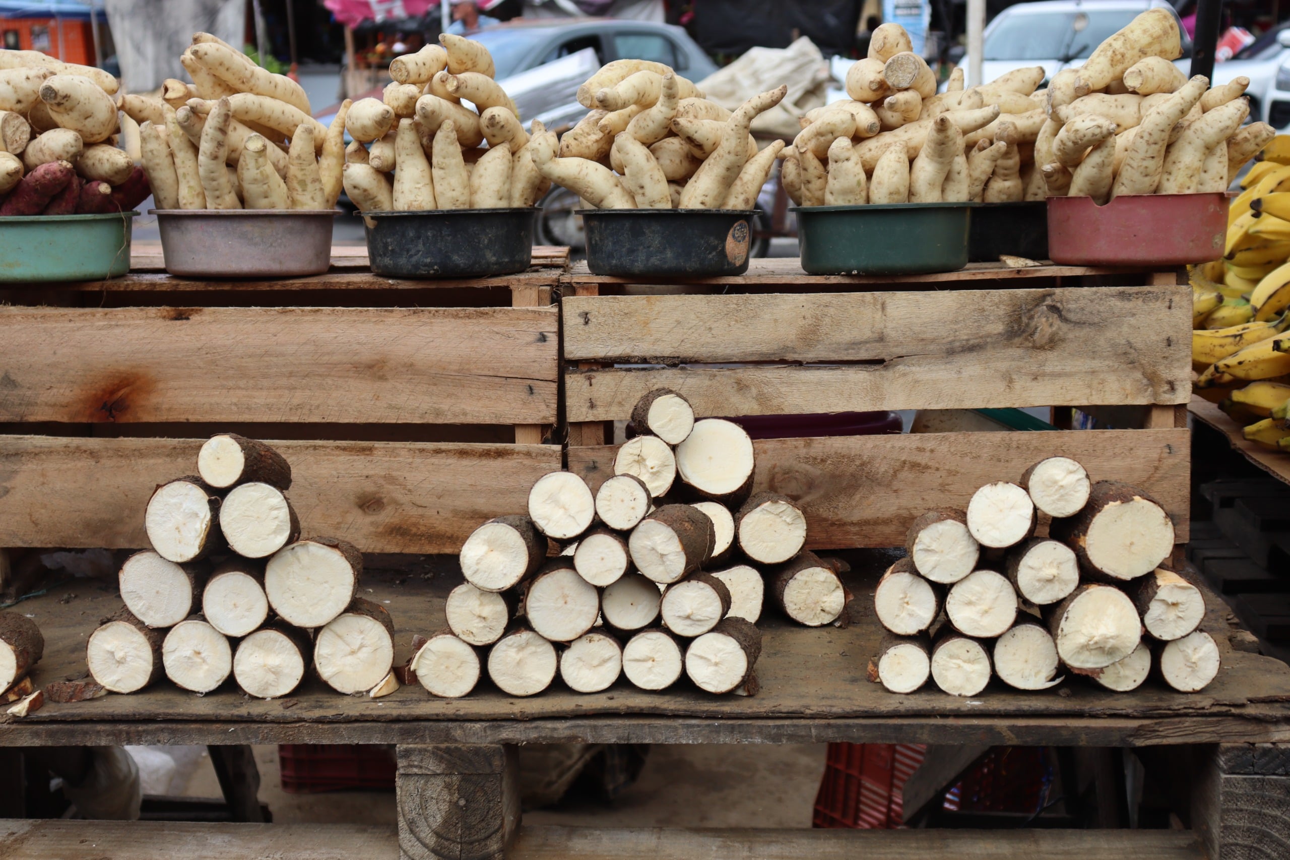 Aipim/Batata-doce/Comércio/Feira de Santana