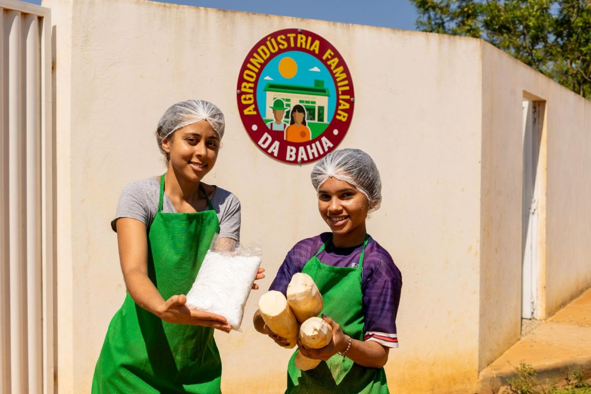 Edital destina R$ 22,5 milhões para impulsionar produção e comercialização da mandioca na Bahia