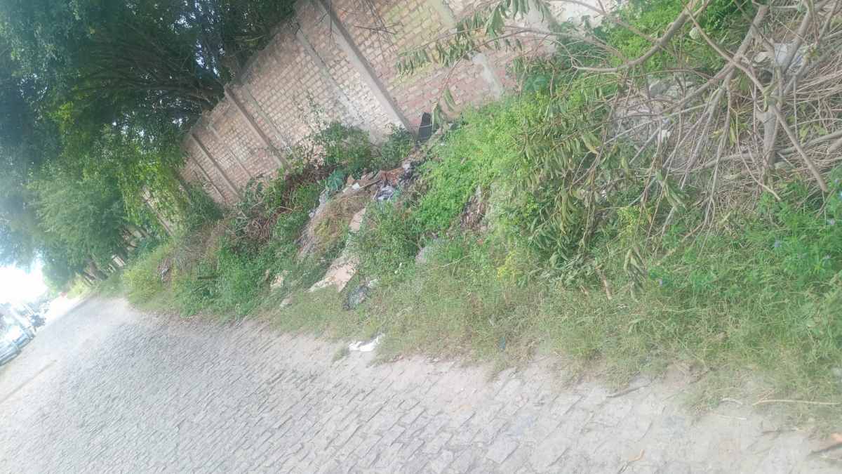 Moradores denunciam ruas danificadas, acúmulo de lixo e obra sem conclusão em diferentes pontos de Feira de Santana