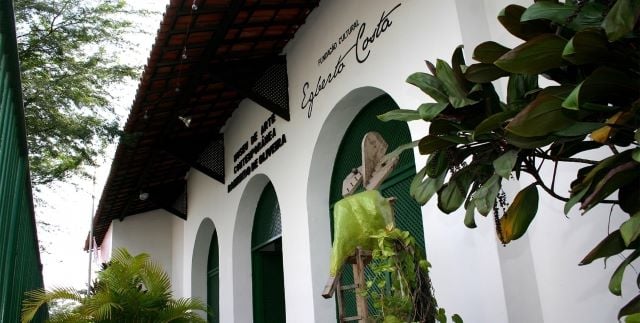 Museu de Arte Contemporânea Raimundo de Oliveira Dia Mundual da Criatividade