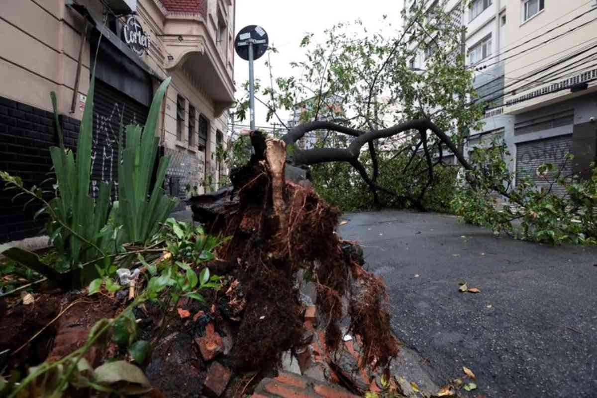 Não é possível associar ventanias ao El Niño, dizem meteorologistas