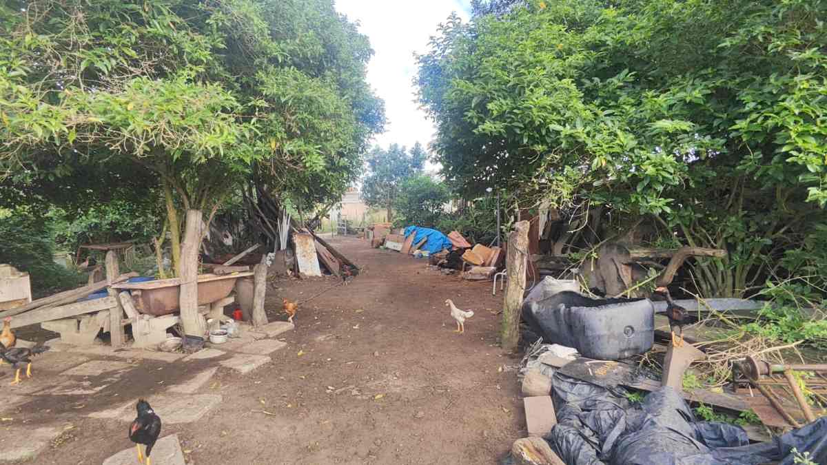 Morador denuncia ordem de despejo em terreno comprado há 70 anos pela família
