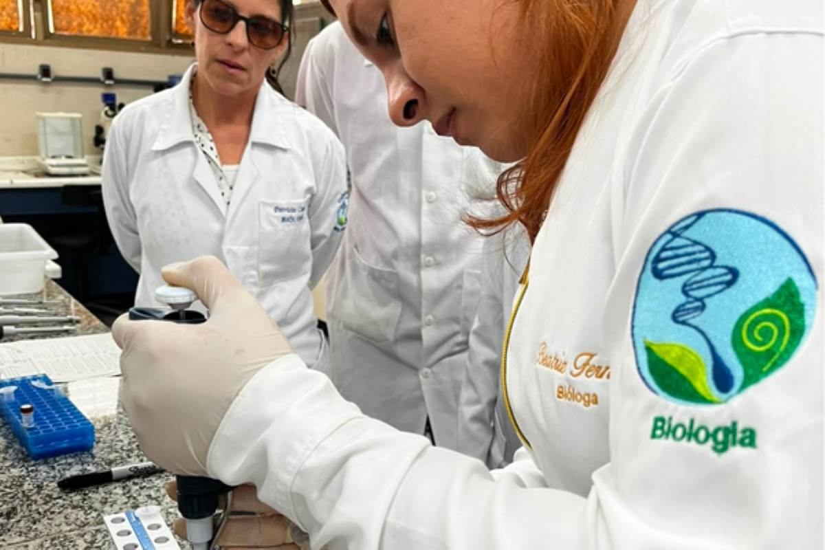 Pesquisa da Uesb realiza o primeiro sequenciamento do genoma do ipê-amarelo