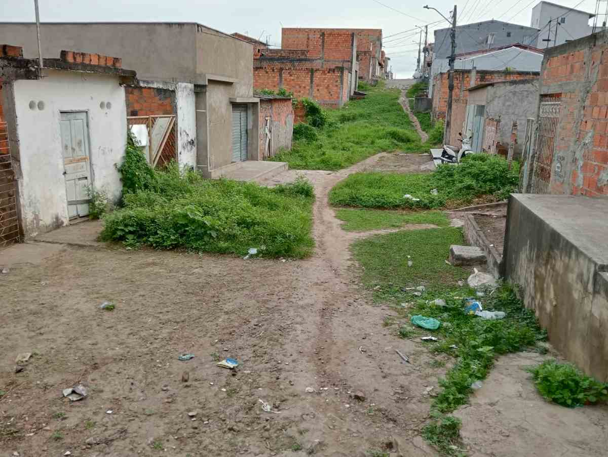 Problemas de rede de esgoto, calçamento e capinação no bairro Gabriela II