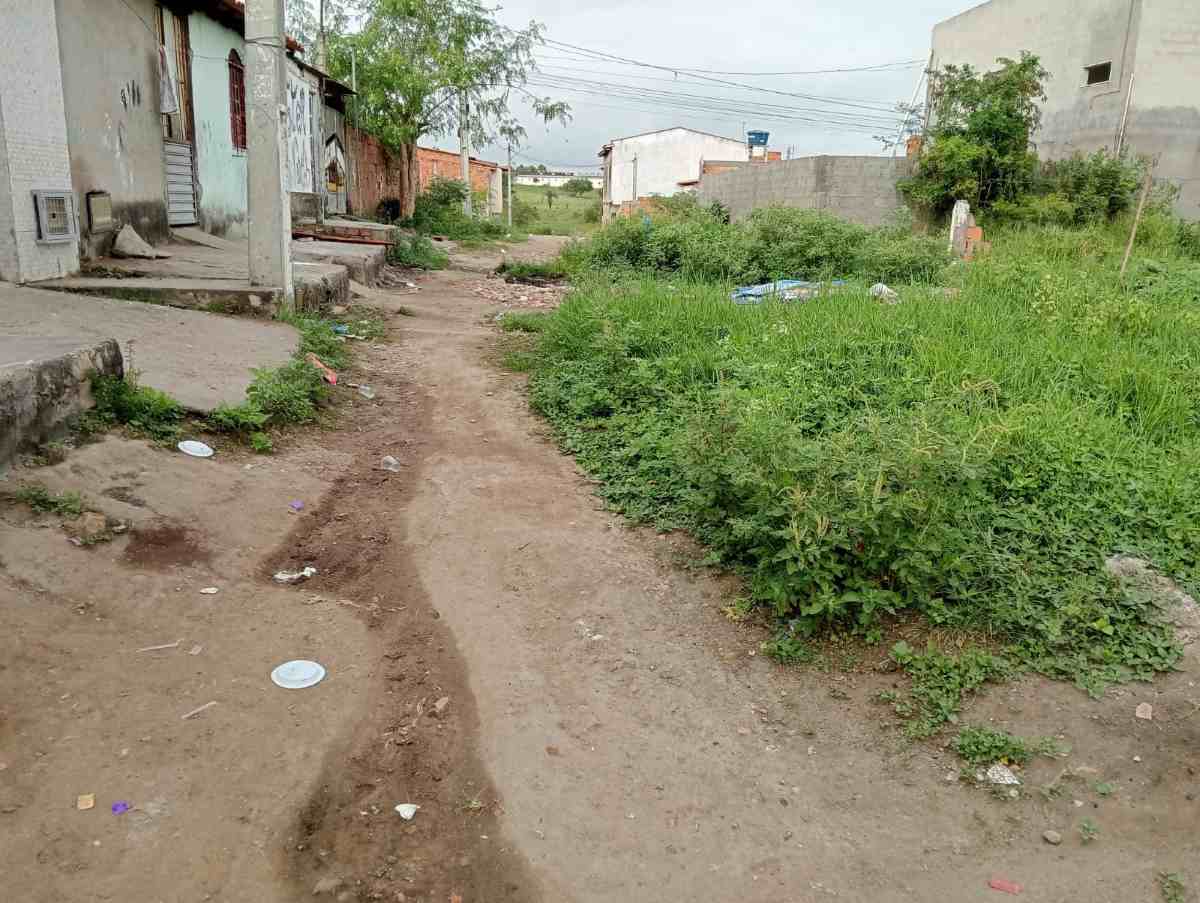 Problemas de rede de esgoto, calçamento e capinação no bairro Gabriela II