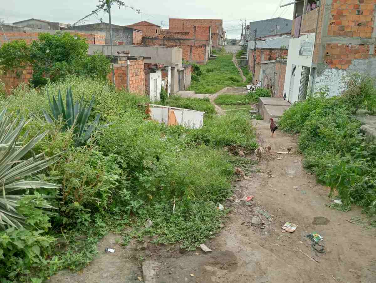 Problemas de rede de esgoto, calçamento e capinação no bairro Gabriela II