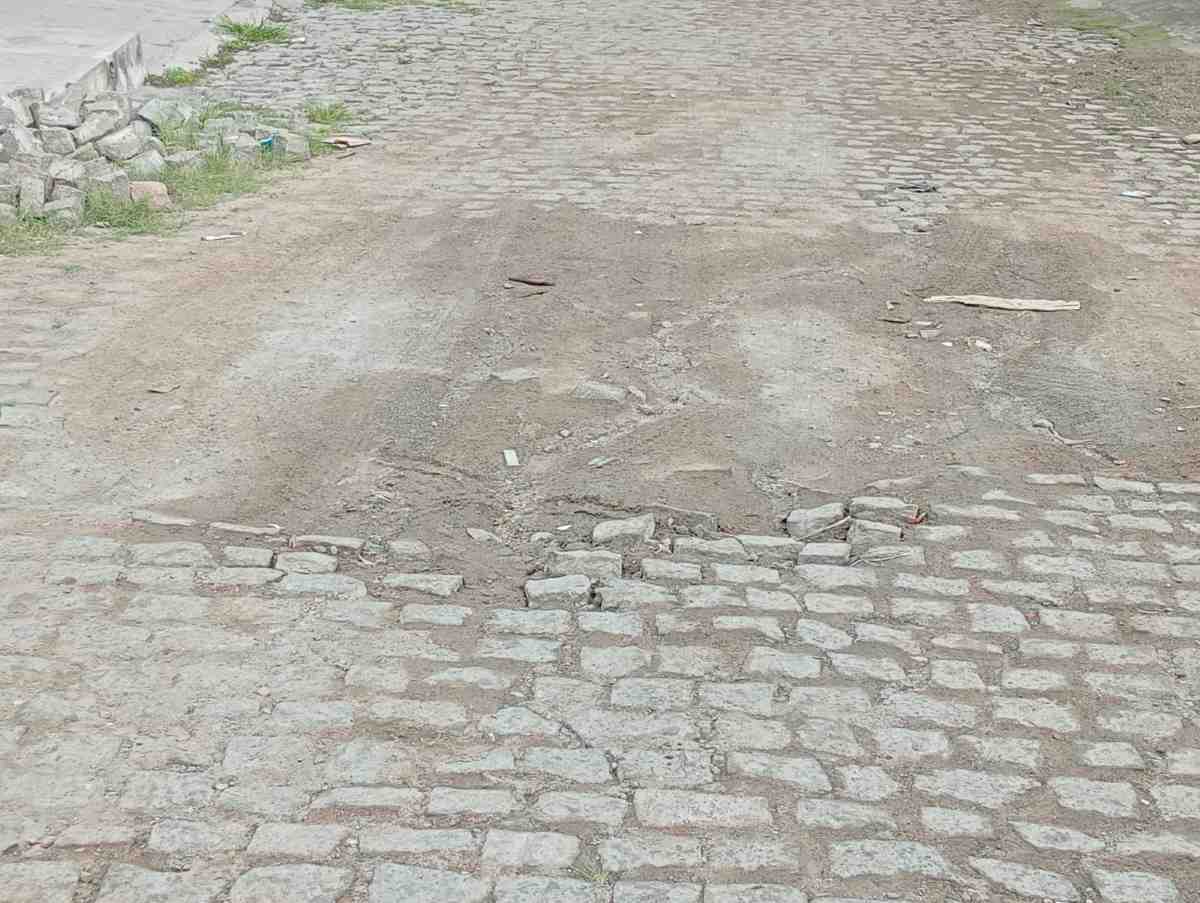 Problemas de rede de esgoto, calçamento e capinação no bairro Gabriela II