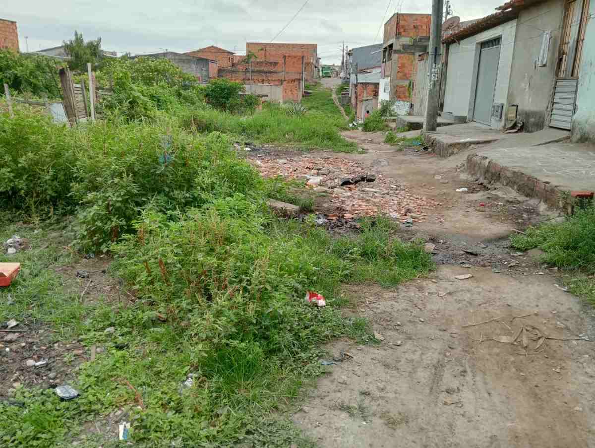 Problemas de rede de esgoto, calçamento e capinação no bairro Gabriela II