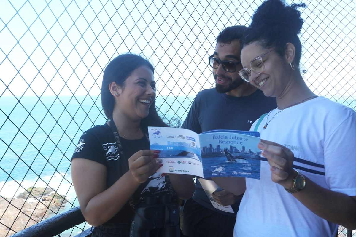 Temporada de observação de baleias jubarte em Salvador começa nesta quarta (15)