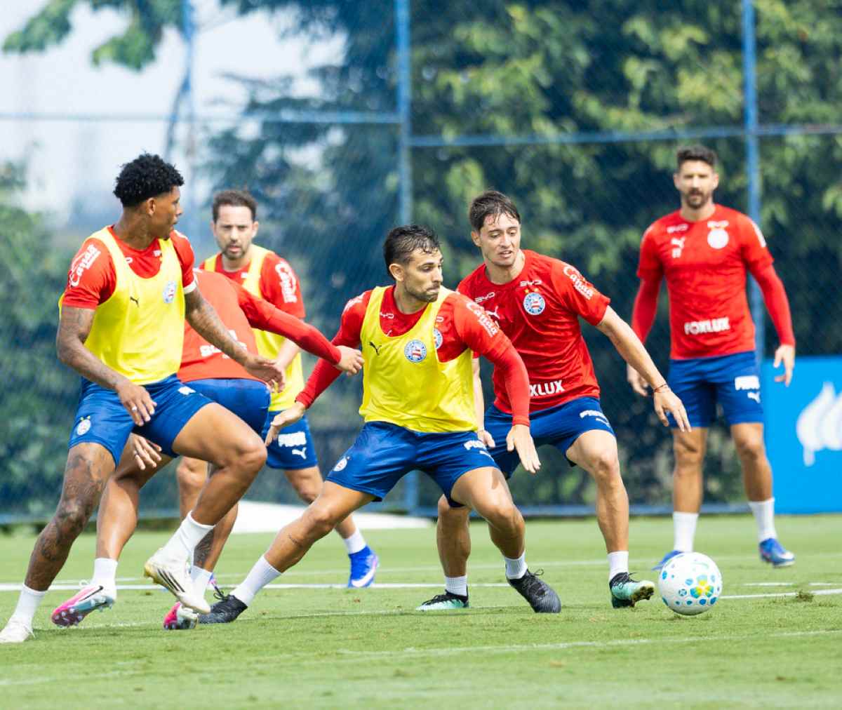 Elenco do Bahia inicia trabalhos antes da reestreia na Série A