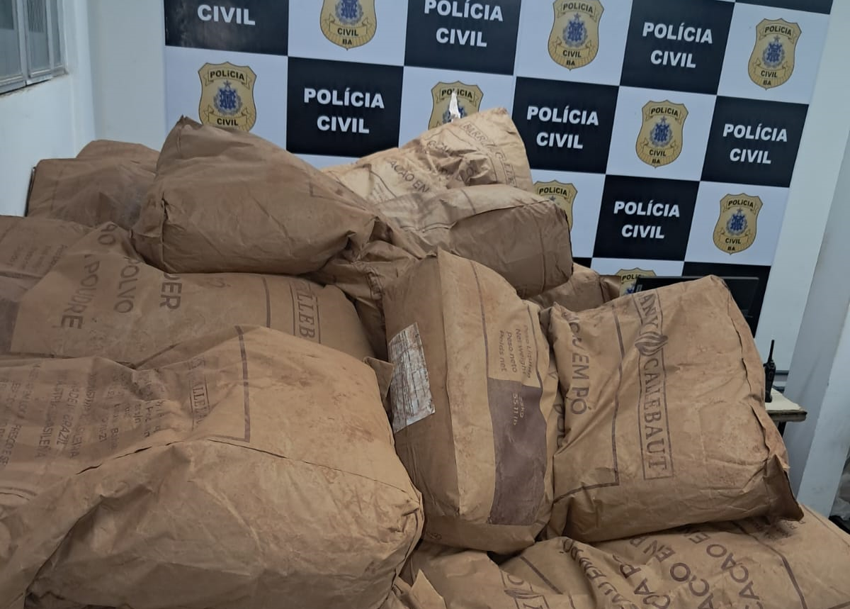 carga de cacau em pó
