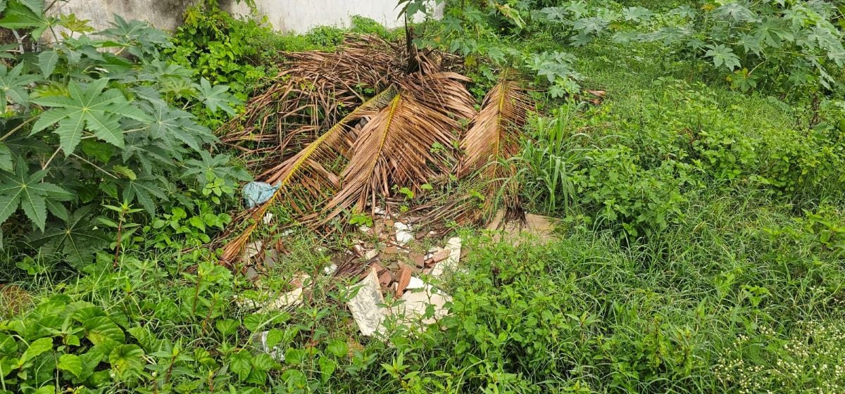 moradores reclamam de acúmulo de lixo em córrego rua Tupinambá no bairro Mangabeira em Feira de Santana