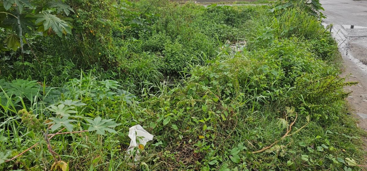 moradores reclamam de acúmulo de lixo em córrego rua Tupinambá no bairro Mangabeira em Feira de Santana