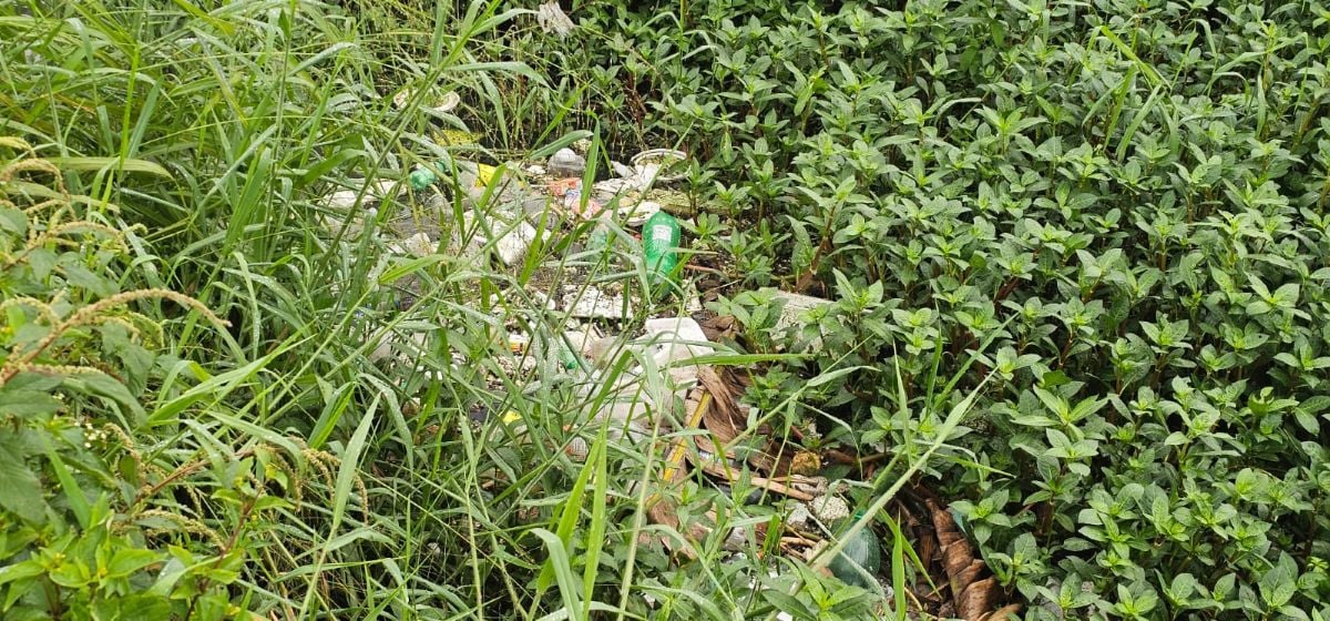 moradores reclamam de acúmulo de lixo em córrego rua Tupinambá no bairro Mangabeira em Feira de Santana
