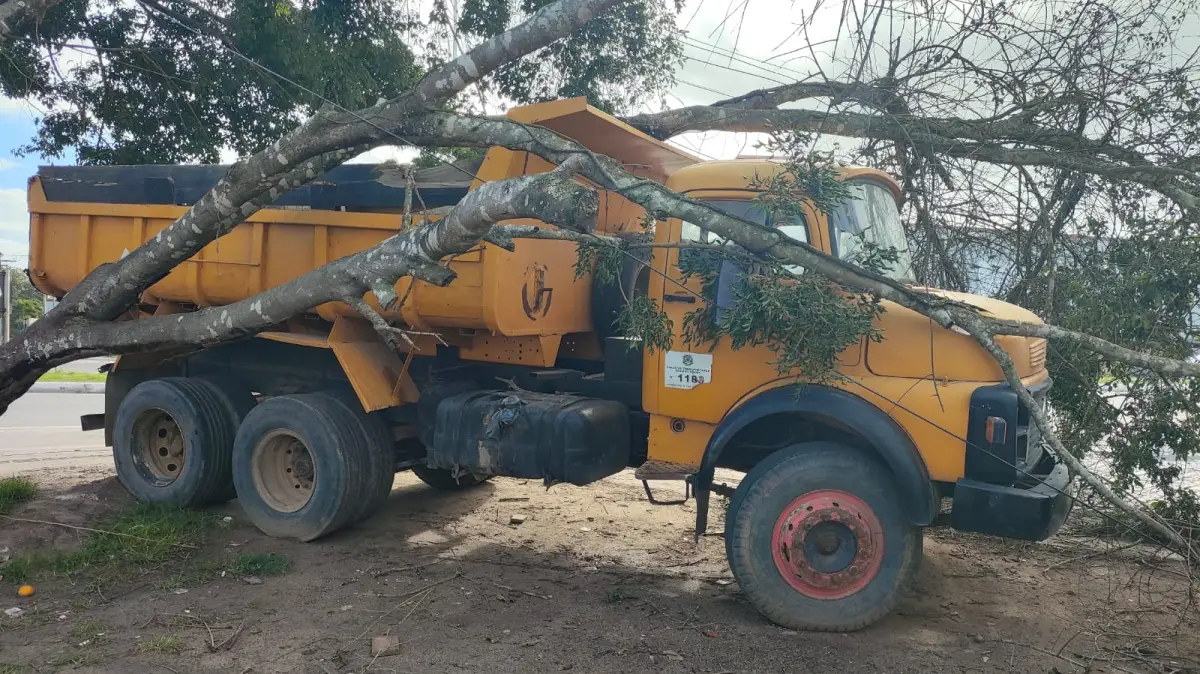 Árvore cai sobre caminhão parado, derruba poste e provoca transtornos na BA-502, em Feira de Santana