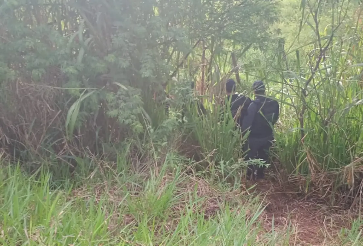 Adolescente que estava desaparecido é encontrado morto em Conceição do Jacuípe