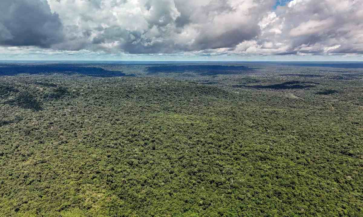 Amazônia