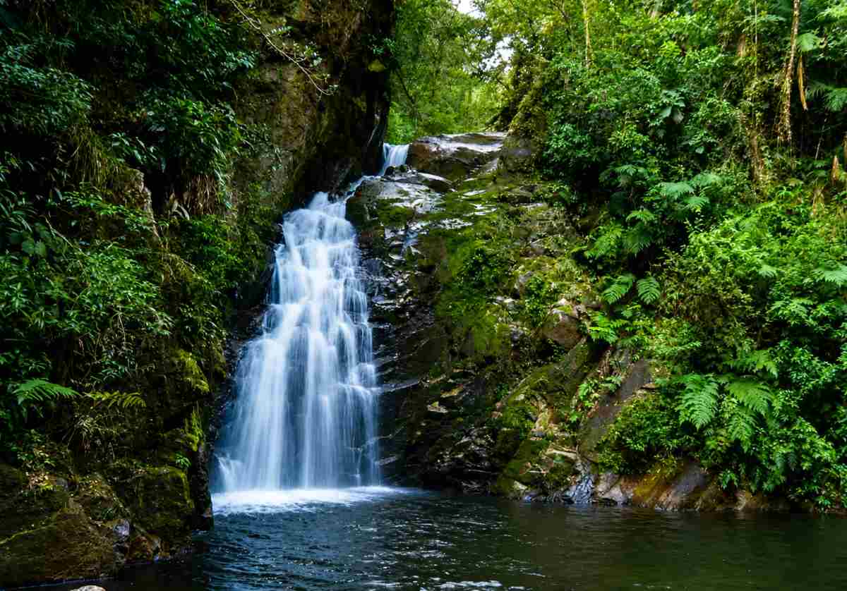 Cachoeira da Esmeralda Foto PESM Caraguatatuba