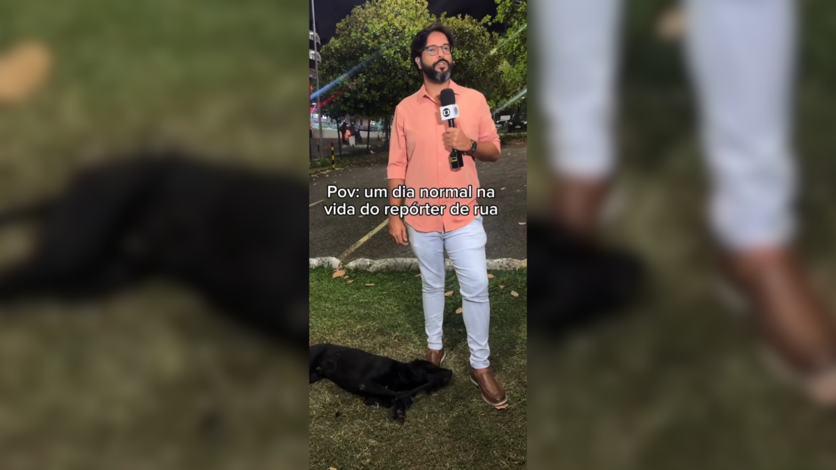 Cachorro desaparecido por mais de um mês é encontrado após vídeo viralizar