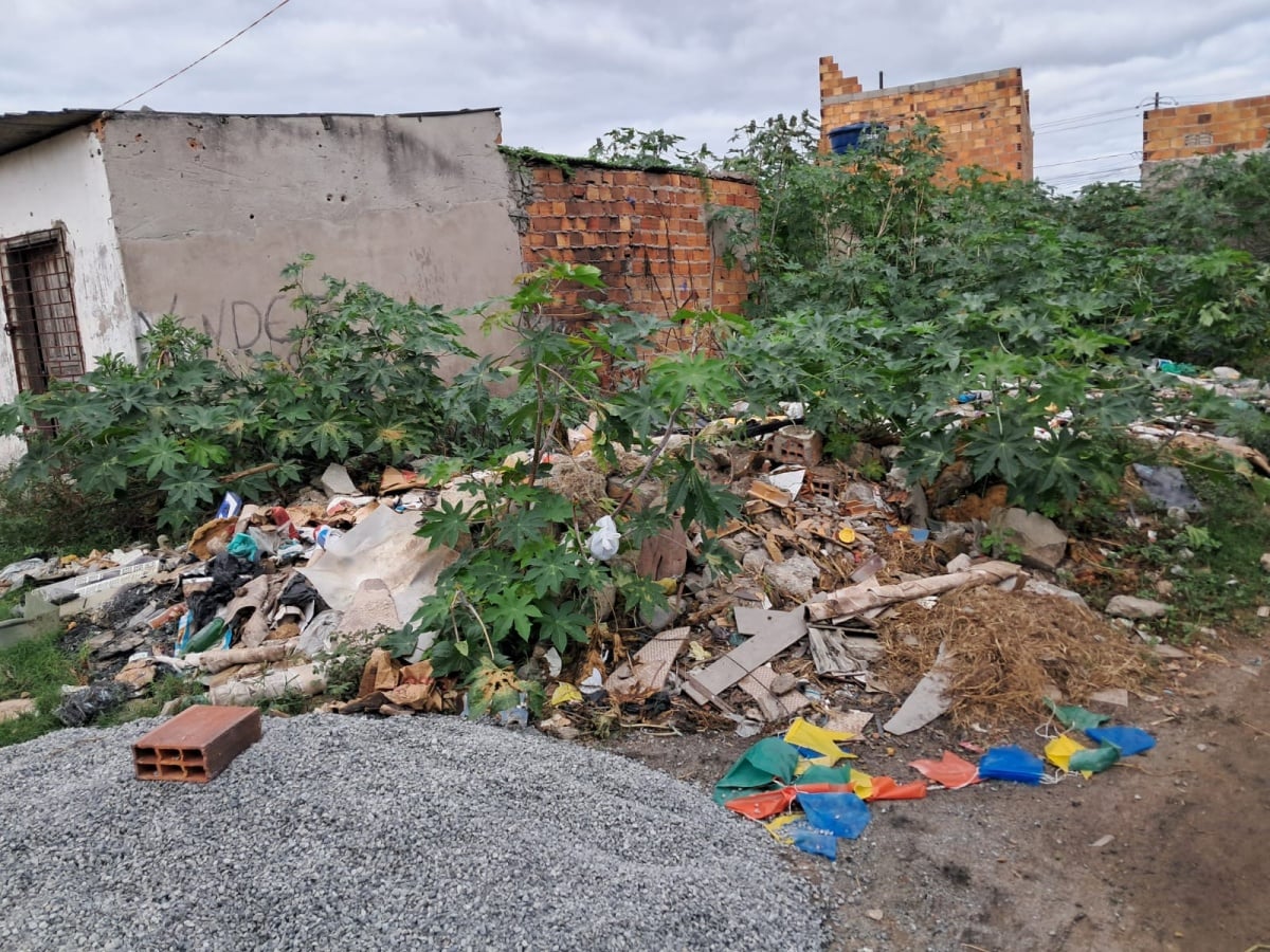 Moradores da Queimadinha sofrem com acúmulo de lixo, falta de rede de esgoto e presença de insetos e animais peçonhentos