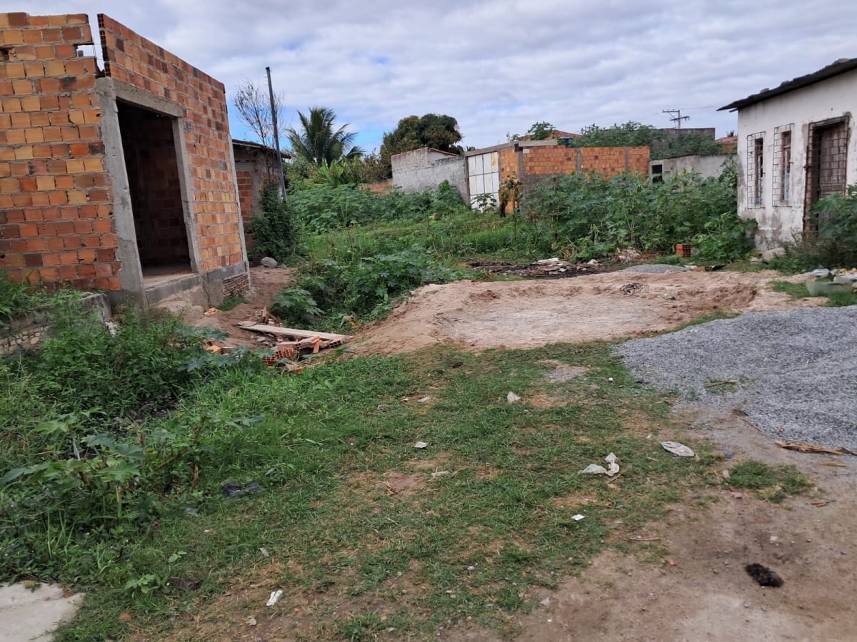 Moradores da Queimadinha sofrem com acúmulo de lixo, falta de rede de esgoto e presença de insetos e animais peçonhentos