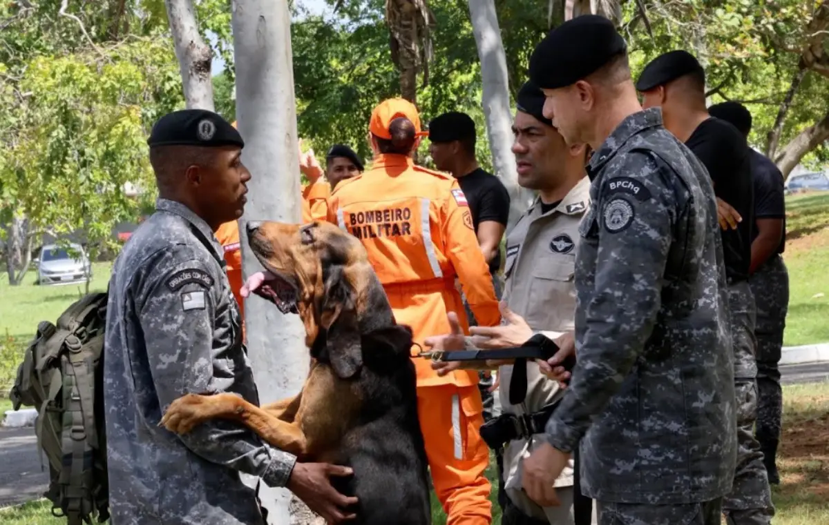 PMs são capacitados para conduzir cães em buscas por pessoas desaparecidas