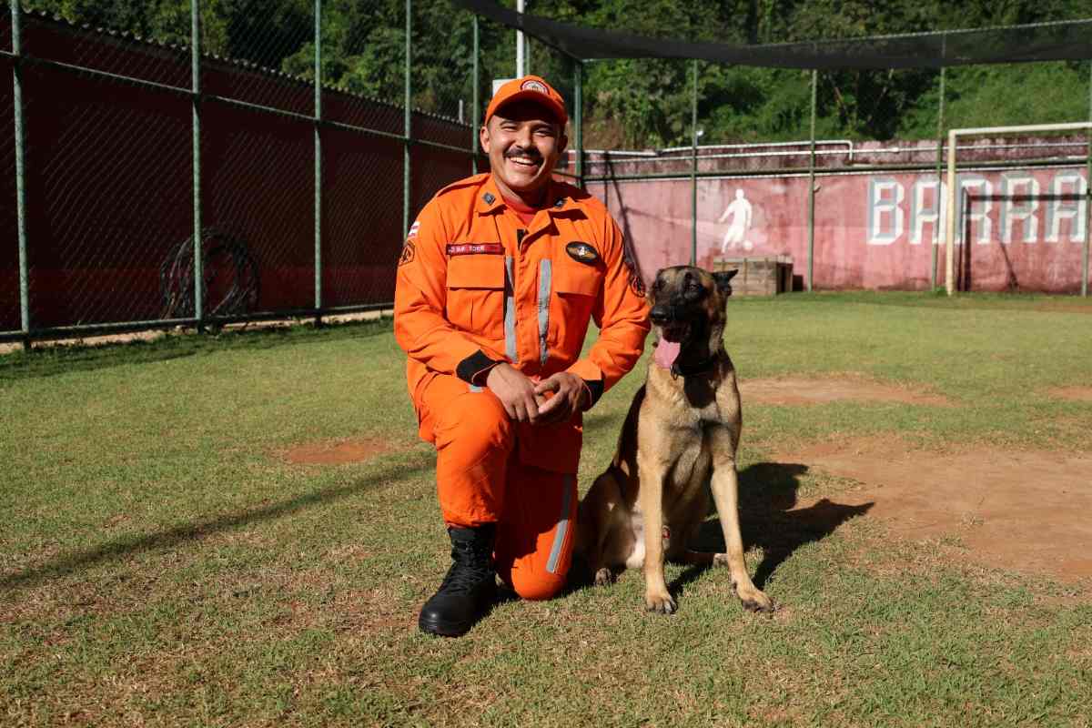 Rambo, cão do Corpo de Bombeiros da Bahia