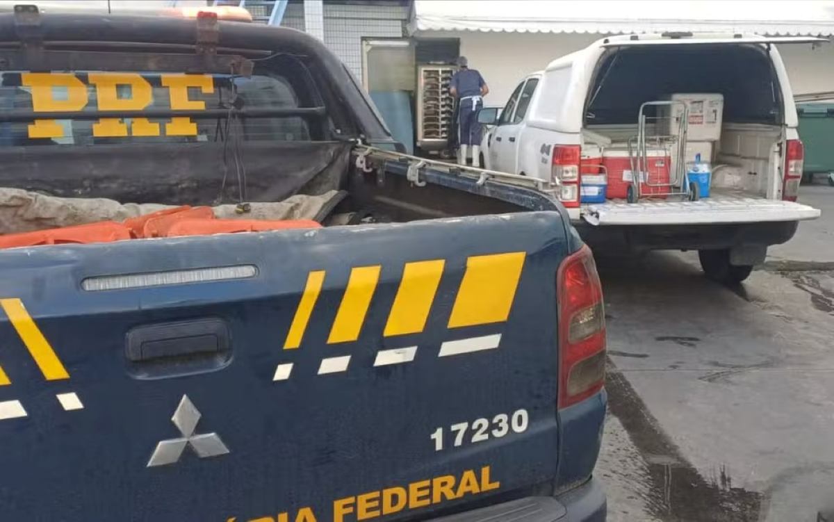 Segunda vítima de ataque a tiros em bar morre em Feira de Santana; família autoriza doação de órgãos