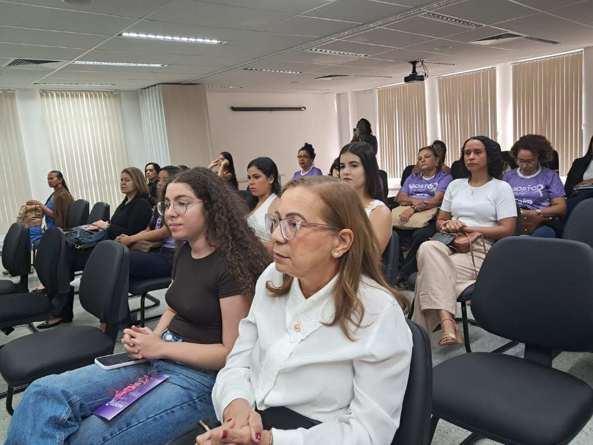 Seminário sobre o atendimento às mulheres vítimas de violência na área da Saúde