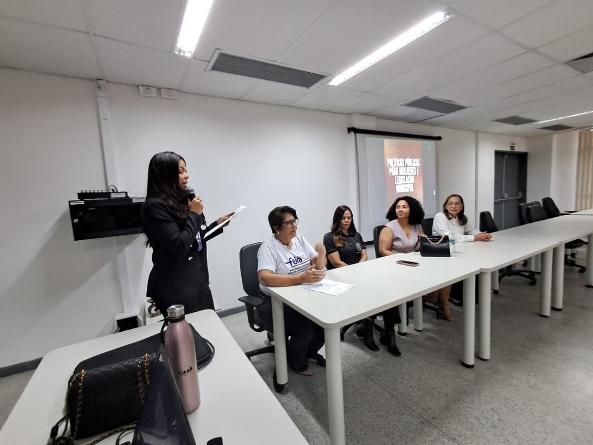 Seminário sobre o atendimento às mulheres vítimas de violência na área da Saúde