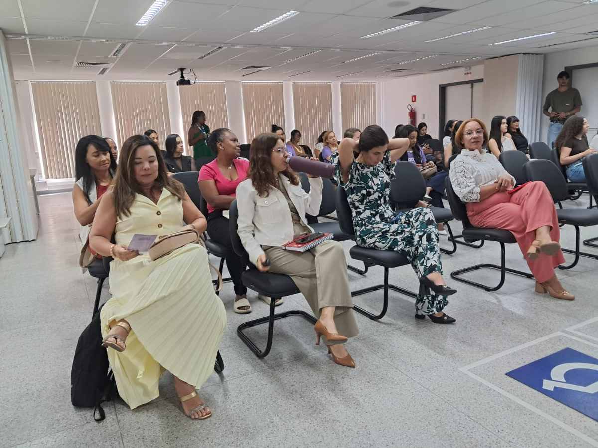 Seminário sobre o atendimento às mulheres vítimas de violência na área da Saúde