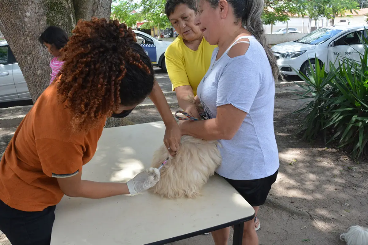 Vacinação contra a raiva já imunizou mais de 4,3 mil cães e gatos em Feira de Santana