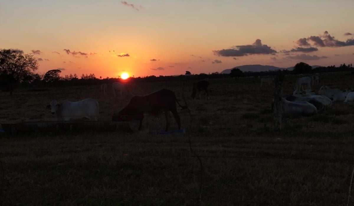 amanhecer sol noite