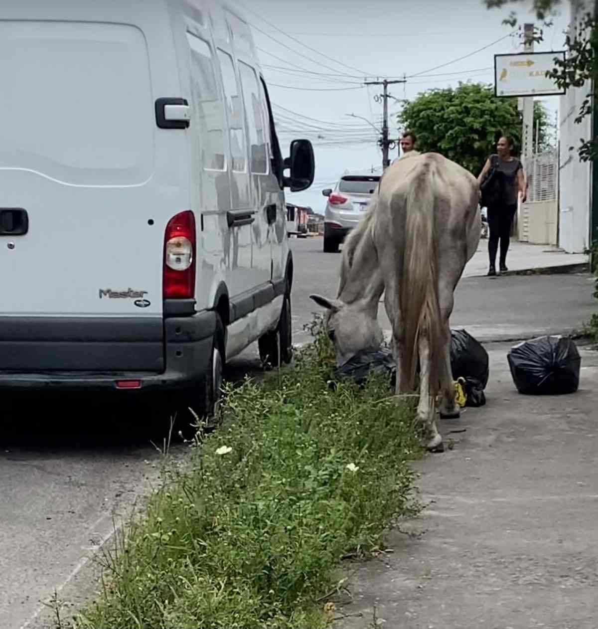 População de Feira de Santana recorre ao Acorda Cidade após não terem suas denúncias atendidas 