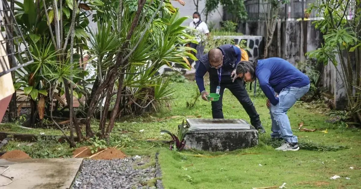 Entre as capitais do Nordeste, Salvador apresenta cenário mais crítico para arboviroses
