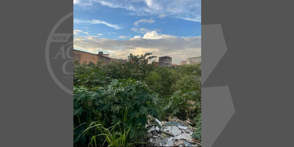 População de Feira de Santana recorre ao Acorda Cidade após não terem suas denúncias atendidas 