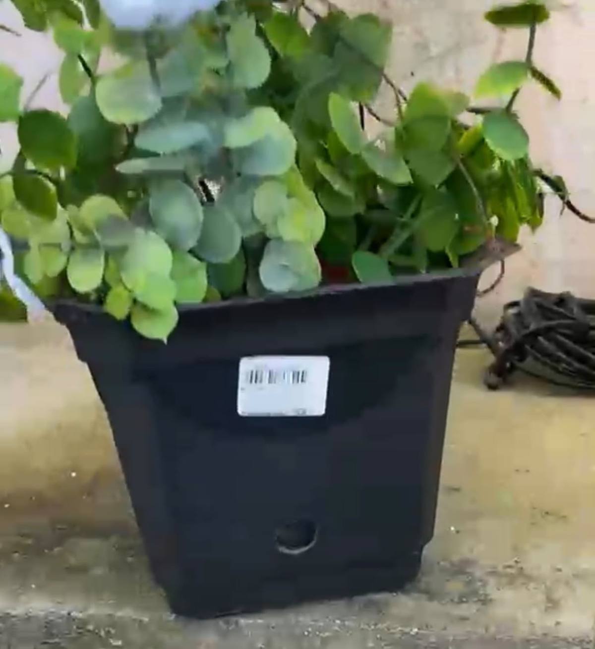 PM identifica câmeras instaladas em plantas por facção para acompanhar movimento de viaturas